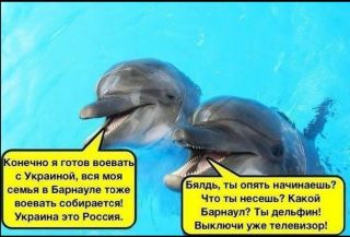 Параша ТВ