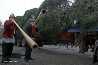 У Києві почали встановлювати головну новорічну ялинку країни