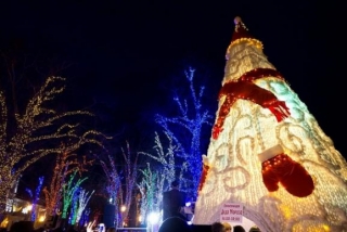 В Одесі спорудили в'язану "ялинку" з синтепону, з якої після свят зроблять куртки для бійців