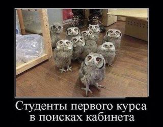 Життя студентів