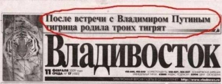 Подвиги Путіна...