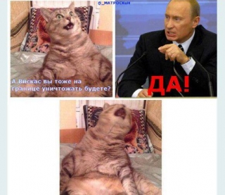 "Віскас" також