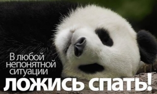 спать