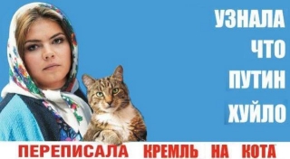 і знову кіт