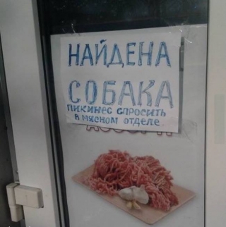 собака, що згубилася