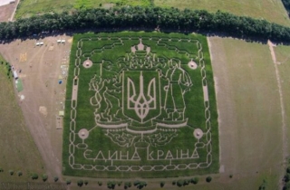 У Києві з'явився патріотичний лабіринт в кукурудзяному полі