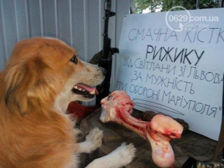 Под Мариуполем в "Азове" служит пес "Рыжик".
