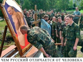 весь руцький мир. В точку.
