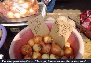 Лук та цибуля