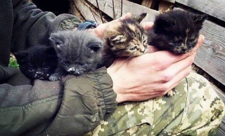 Фото військових в АТО вийшли у лідери переглядів на сервісі Imgur