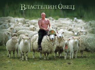 Власник овечок