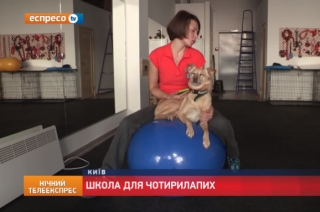 В Україні відкрили першу школу для чотирилапих