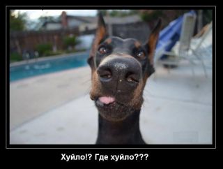 Дійсно, де він?
