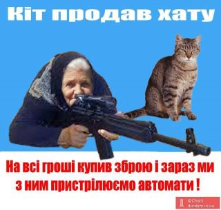 Навіть коти повстали