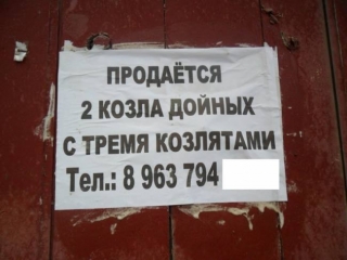 в них такі козли