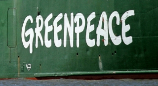 У Росії заговорили про "імпортозаміщення" Greenpeace через нестачу патріотизму