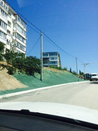 Кримську траву пофарбували до візиту Медведєва